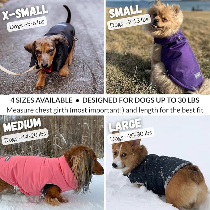 DJANGO Puffer Dog Coat – Warm Winter Dog Jacket & Water-Repellent Insulated Puffer Vest with Striped Lining, Harness Hole, Adjustable Fit for Small & Medium Dogs, Dachshunds – Sea Foam Green, Large