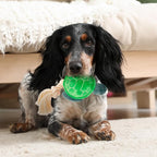 Dog Toys | Plush Turtle Stuffed Animal with Rope for Dogs | Eco Friendly Toy - Easy to Clean and Made from Non Toxic Materials
