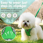 Dog Harness and Leash Set, No Pull Pet Harness for Small Dogs Easy Walking,Soft Breathable Small Dog Harness,Adjustable Reflective Step in Vest Harness for Puppy,Kitten, Cats