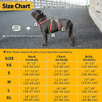 Huntboo Escape Proof Dog Harness, No Pull Reflective Harness with Lift Handle, Adjustable Pet Vest with Front and Back Leash Clips for Small Medium Large Dogs Walking Hiking Training (Red,L)