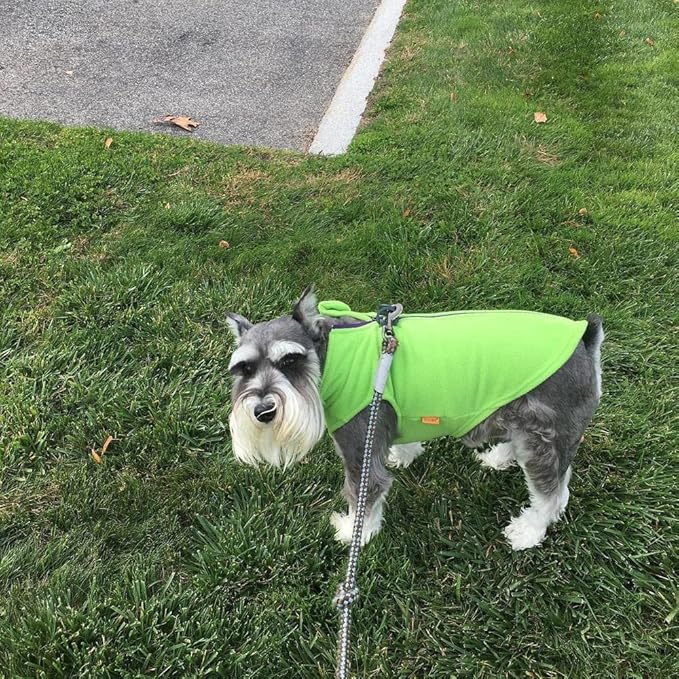 Gooby Boys X-Small Chest (~11 Inch) Zip Up Fleece, Lime, X-Small 11 US