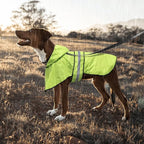 Dog Raincoat - Waterproof Reflective Dog Rain Jacket, Adjustable Hooded Doggy Rain Coats with Leash Hole, Lightweight Pet Slicker Poncho (XX-Large, Green)