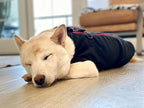 Gooby Zip Up Fleece Dog Sweater - Black, X-Small - Warm Pullover Fleece Step-in Dog Jacket with Dual D Ring Leash for Small to Medium Dogs