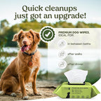 Pawfume Dog Wipes 2 x 100 Count, Pet Wipes – Hypoallergenic & Gentle Dog Wipes for Eyes, Face, Butt, and Paws – Cleaning & Deodorizing, Grooming Tear Stain Wipes for Puppy, Adult Dogs & Cats