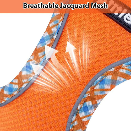 AIITLE Dog Harness and Leash Set - Ultra-Comfortable XXS-XL Vest with Strong Magic Tape & Glow-in-Dark Reflective Strips, Chafe-Free for Teddy, Schnauzer (Orange, M)