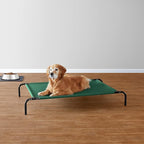 Amazon Basics Cooling Breathable Elevated Dog Bed with Metal Frame for Large Dogs, 51 x 31 x 8 Inch, Green
