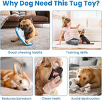 Tether Tug Outdoor Dog Toy, Interactive Exercise Game in Yard Park Tug of War with Chew Rope Toy for Small Medium Large Dogs, Adjustable Dog Stake Toy to Pull Chase and Solo Play
