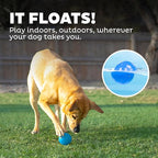 Outward Hound by Planet Dog Squeak Ball Bouncy Fetch Dog Toy, Blue