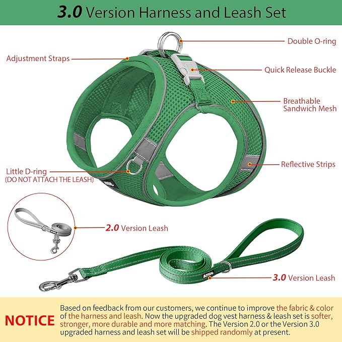 AIITLE Small Harness for Puppy with A Leash - Summer Dog Vest Harness with Super Breathable Mesh, Reflective No-Pull Pet Harness for Outdoor Walking, Camping for Small Dogs, Cats Green XXS