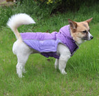 Fleece Dog Hoodie for Large Dogs Super Warm Doggie Jacket for Cold Winter Dog Coats,Purple XL