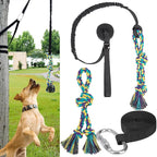 BINGPET Outdoor Dog Hanging Bungee Tug Toy,Heavy Duty Tether Tug of War Dog Toy with 2 Chew Rope Toys for Pitbull Small Medium Large Dogs Interactive Exercise and Fun Solo Play Outside