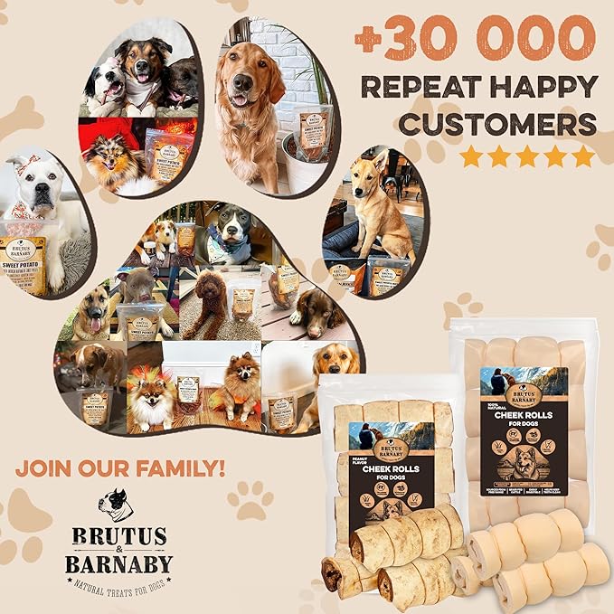 Premium Beef Cheek Rolls for Dogs 10-12" - (5-Pack) Long Lasting, Safe & Natural Rawhide Alternative Chews, Ideal for Large Dogs & Aggressive Chewers, Supports Dental Health & Digestion