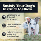 Redbarn Pet Products All Natural 4-5" Bully Sticks for Small & Medium Dogs - Healthy Long Lasting Chews Variety Party Pack - 100% Beef Single Ingredient Low Odor Rawhide Free - Bag, 12oz