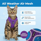 Best Pet Supplies Voyager Escape Proof Cat Harness and Leash Set with Reflective Stitching, Neoprene Handle 5ft - Supports Small, Medium and Large Cats, Kittens - Purple, M (Chest: 16.5-19.5")