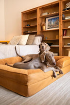NOAH & PAW Giant Dog Bed XXL, 55x45x11 Inch, Orthopedic Dog Beds, Eggshell Memory Foam Infused with Cooling Gel, Inner Cover, Waterproof, Machine Washable (Faux Leather Sofa Collection)