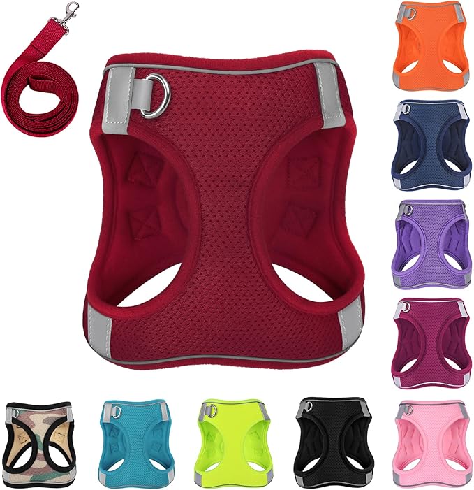 Dog Harness with Leash Set, No-Pull Step-in Reflective Pet Harness with 1 Leash Clips, Adjustable Soft Padded Easy Walk Dog Vest for Small Medium Large Dogs, Cats(Bright Red, Small)