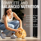 Feline Natural Wet Cat Food Pouch - Lamb & Salmon Feast, Grass-Fed & Wild-Caught, Grain-Free New Zealand Pate, 3oz Single Serve, Pack of 12