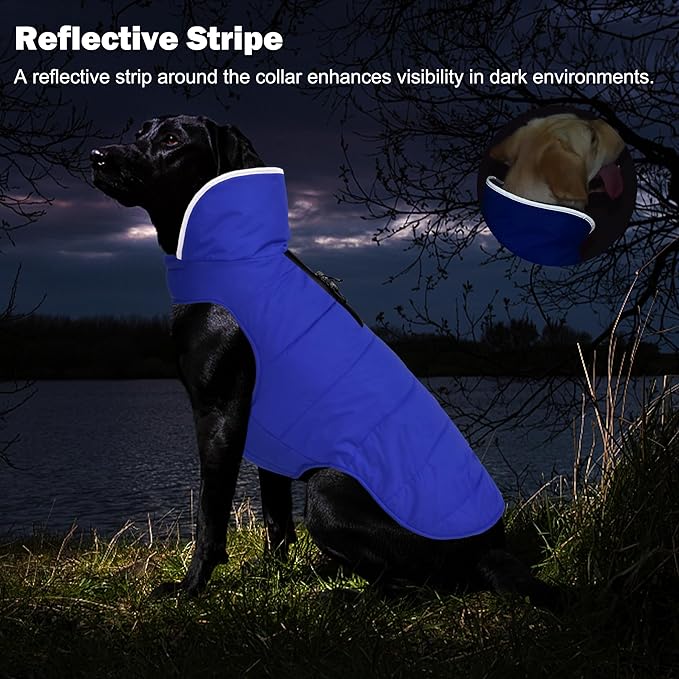 Dog Winter Coat, Waterproof Dog Jacket with Leash Hole, Reflective Adjustable Pet Snow Vest, Warm Fleece Sweater for Small Medium Large Dogs - Blue, S