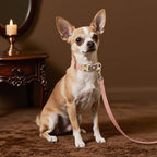 Didog Soft PU Leather Dog Collars for Small Dogs,Classic Adjustable Dog Collars with Quick Release Metal Buckle,Easy Clean and Comfortable with Nylon Lining,Pink,S Neck 10-15"