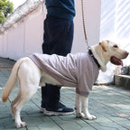 Extra Large Dog Collar Jackets Clothes Sweaters with Leash Ring for Labrador Rottweiler Great Dane, Grey, 6X-Large