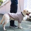 Extra Large Dog Collar Jackets Clothes Sweaters with Leash Ring for Labrador Rottweiler Great Dane, Grey, 8X-Large