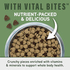 Natural Balance Specialized Nutrition Dry Dog Food with Lamb and Oatmeal for Dogs, Digestive & Immune Health Food, Natural Ingredients with Added Vitamins & Minerals - 22 lbs