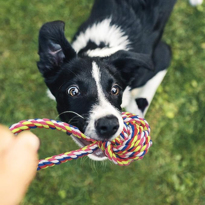 6 Pack Dog Rope Toys for Small Medium Large Breed, Tough Chew Ropes Tug Toy for Dogs, Flying Disc Fetch Toy Dog Rope Ball, Interactive Toy for Boredom, Puppy Teeth Cleaning