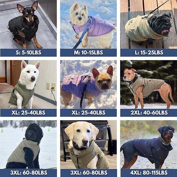 Spark Paws Dog Winter Jacket, Water-Resistant Coat, Warm Reflective Windproof Fleece-Interior, for Medium and Large Dogs - Black - M