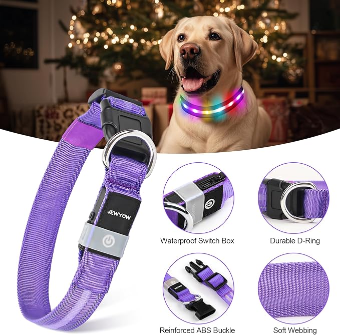 LED Dog Collar, Light Up Dog Collar, USB Rechargeable - Brightest Dog Lights for Night Walking, 6 Light Modes, Adjustable for Dog Safety(Small, Purple)
