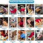 Mihachi Turtleneck Dog Sweater - Winter Coat Apparel Classic Cable Knit Clothes with Leash Hole for Cold Weather, Ideal Gift for Pet in New Year Lake Blue