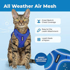 Best Pet Supplies Voyager Escape Proof Cat Harness and Leash Set with Reflective Stitching, Neoprene Handle 5ft - Supports Small, Medium and Large Cats, Kittens - Royal Blue, M (Chest: 16.5-19.5")