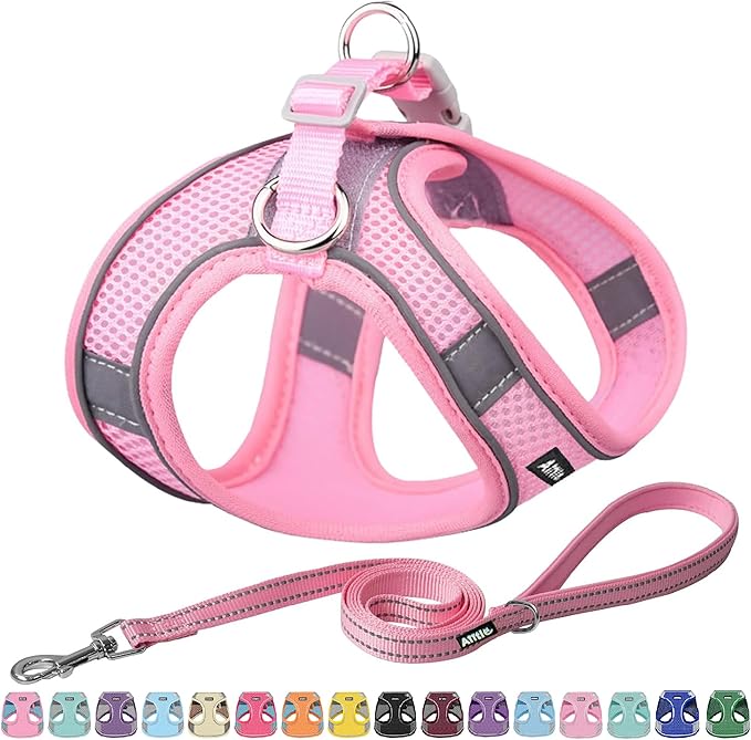 AIITLE Dog Harness, Summer No-Pull Cat Harness with a Leash, Adjustable Reflective Dog Vest, Cat Harness Escape Proof, Outdoor Walking, Camping for Extra Small Dogs and House Cats Pure Pink XXXS