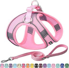 AIITLE Comfortable Dog Harness and Leash Set for Walking - Summer Step in Vest Harness,Reflective Bands, Adjustable No Pull Puppy Essentials, for Small Dogs and House Cats Pure Pink XS