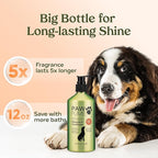 PAWFUME Deshedding Dog Shampoo and Conditioner, Show Dog, 1-Pack – Nourish & Detangle for Silky Soft Coat – Probiotic, Deep-Cleaning, pH-Balanced Formula – Salon-Quality Shampoo for Dogs