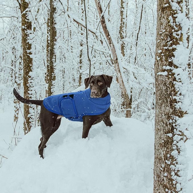 Queenmore Soft Fleece Dog Jacket, Warm Winter Coat with Leash Hole, Dachshund Sweaters for Small Dogs Cats Boy or Girl (Blue, S)