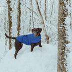 Queenmore Small Dog Sweater, Soft Fleece Vest Pullover Dog Jacket with Leash Hole, Warm Winter Dog Coats Cold Weather Doggy Dachshund Sweaters for Small Dogs Cats Boy or Girl (Blue, XL)