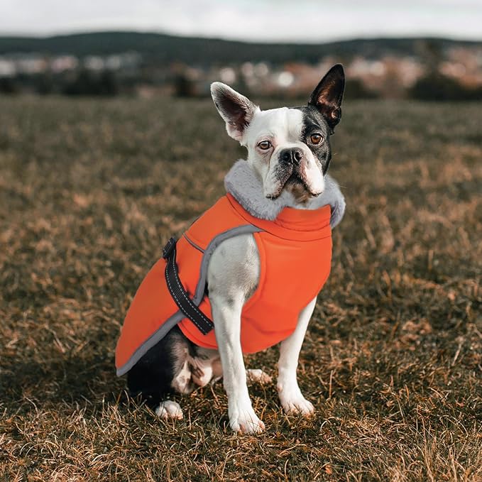 Lelepet Warm Dog Winter Coat Reflective Dog Jacket Fleece Vest Waterproof Windproof Cold Weather Coats with Adjustable Buckle Plush Turtleneck Pet Snowsuit for Small Medium Large Dogs,Pug,Beagle,L