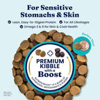 Solid Gold Salmon Dog Food for Sensitive Stomachs – Grain Free & Gluten Free Kibble w/Probiotics to Support Gut Health & Digestion - Sensitive Stomach Dog Food for All Ages – Nutrientboost™ – 22 LB