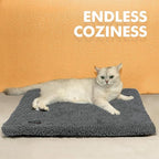 Self Warming Cat Bed Self Heating Cat Dog Mat 29.1 x 18.9 inch Extra Warm Thermal Pet Pad for Indoor Outdoor Pets with Removable Cover Non-Slip Bottom Washable Non Electric