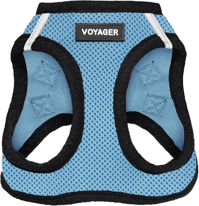 Best Pet Supplies Voyager Step-in Air Harness - All Weather Mesh, Reflective, No Pull Harness for Dogs, Cats - Secure with Hook & Loop Fastener, Buckle, Double D-Rings - Baby Blue/Black Trim, XXS