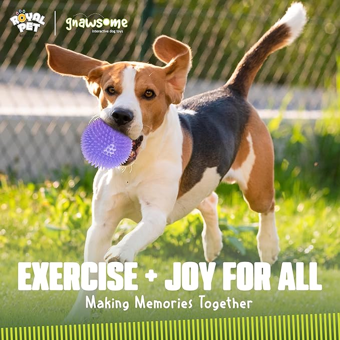 Gnawsome 4.5” Spiky Squeak & Light Ball Dog Toy - Extra Large, Cleans teeth and Promotes Dental and Gum Health for Your Pet, Colors will vary, All Breed Sizes