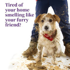 Harbor's Pet Cologne (Clean Cool Water 32oz)