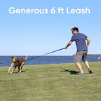 Pawtitas 6 FT Recycled Dog Leash With Reflective Stitched Thread - Small, Made From Plastic Bottles Collected From Oceans - Black