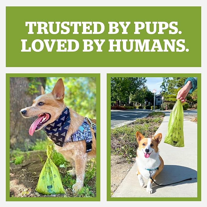 Pogi’s Dog Poop Bags – Leak-Proof & Extra Thick Pet Waste Bags (Unscented, 10 Rolls, 150-Count)