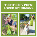 Pogi’s Dog Poop Bag Dispenser – Holder with Metal Carabiner for Leashes, Includes 15 Fresh Scented Bags