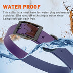 Dogline Biothane Waterproof Dog Collar Strong Coated Nylon Webbing with Black Hardware Odor- Proof for Easy Care Easy to Clean High Performance Fits Small Medium or Large Dogs, Violet Purple