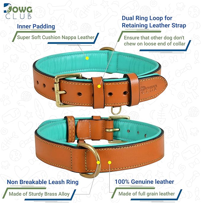 Genuine Leather Dog Collar | Full Grain, Heavy Duty, Comfortable, Padded, Strong | Best for Pups, Small, Medium, Large & XL Breeds (Small (Fit Neck Size 11.5"-14.5"), Tan)