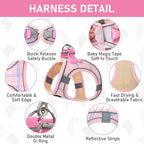GAMUDA Small Dog Harness Collar and Leash Set, Step in No Chock No Pull Soft Mesh Adjustable Dog Vest Harnesses Plaid Reflective for Dogs Puppy Cats Kitten Rabbit (Pink, XXXS)