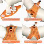 YIMEIS Dog Harness and Leash Set, No Pull Soft Mesh Pet Harness, Reflective Adjustable Puppy Vest for Small Medium Large Dogs, Cats (Orange01, Medium (Pack of 1)