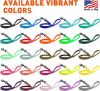 Dogline Biothane Waterproof Dog Leash Strong Coated Nylon Webbing with Black Hardware Odor-Proof Easy to Clean High Performance for Small or Large Dogs Made in USA 4 or 6 ft Lead, Cherry Red